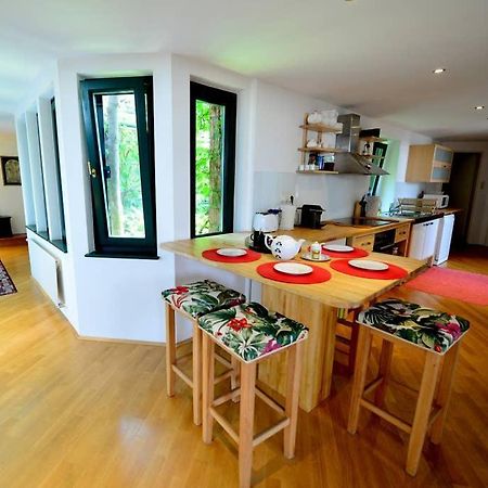 Green Haven Roofgarden Penthouse In Central Area Wiedeń Zewnętrze zdjęcie